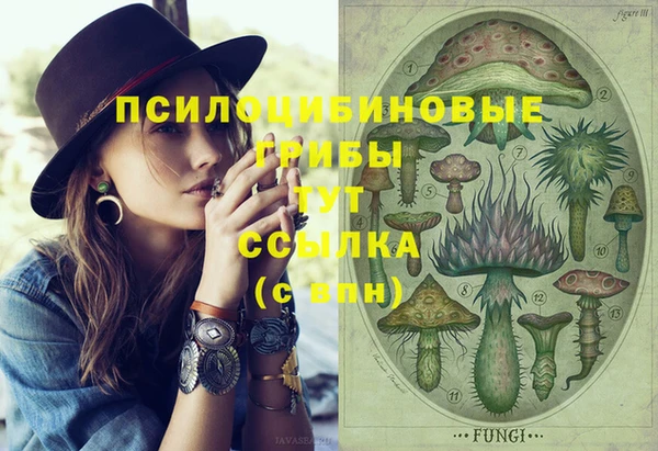 гидропоника Киренск