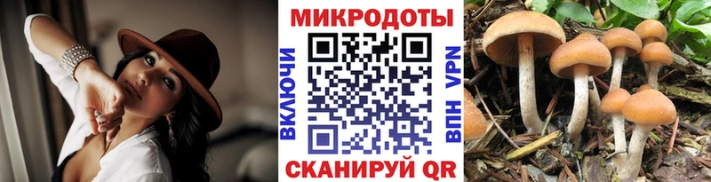 купить наркотики цена  Нальчик  Псилоцибиновые грибы Psilocybine cubensis 