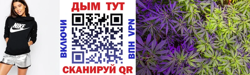 наркота Нальчик Бошки Шишки Amnesia